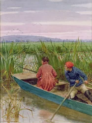 Duck Shooting